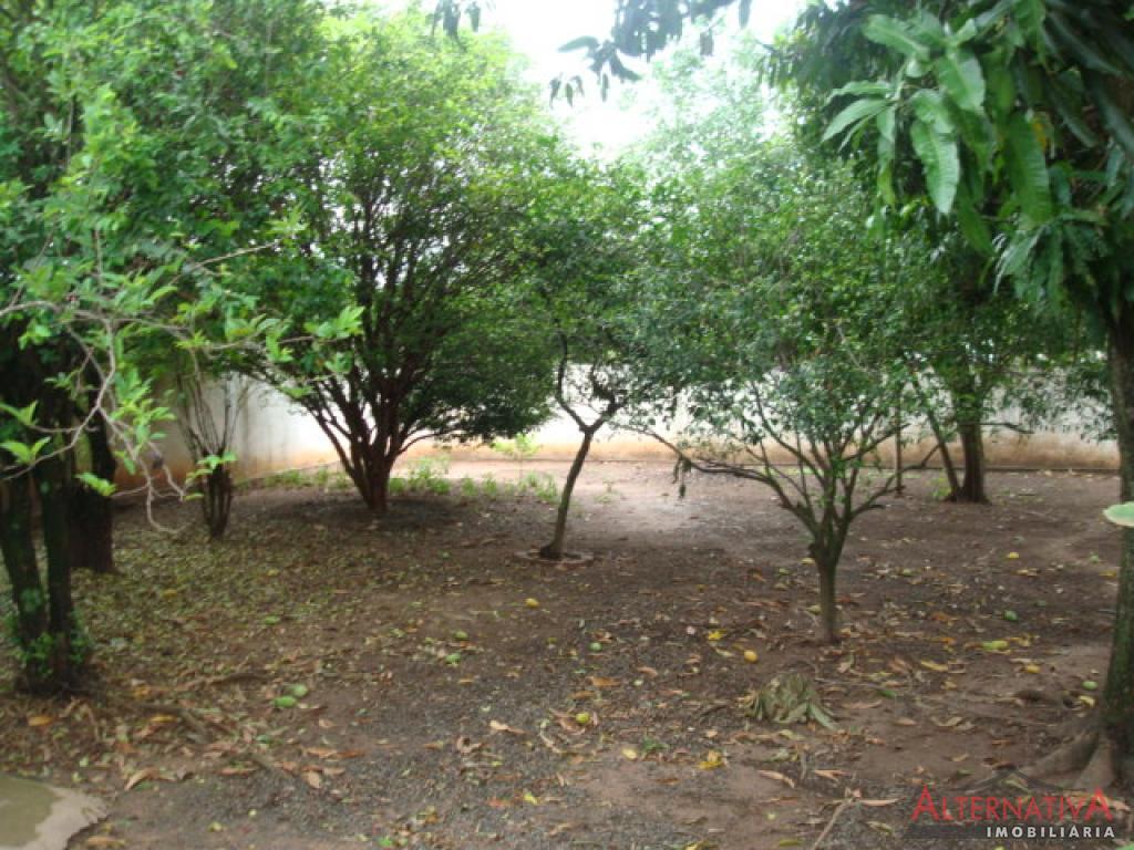 Casa à venda em Centro, Pindorama - foto 11 de 11