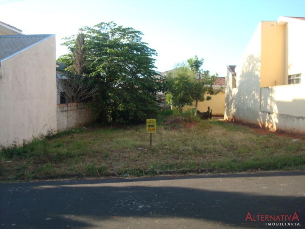 Terreno à venda em Centro, Uchoa - foto 1 de 2