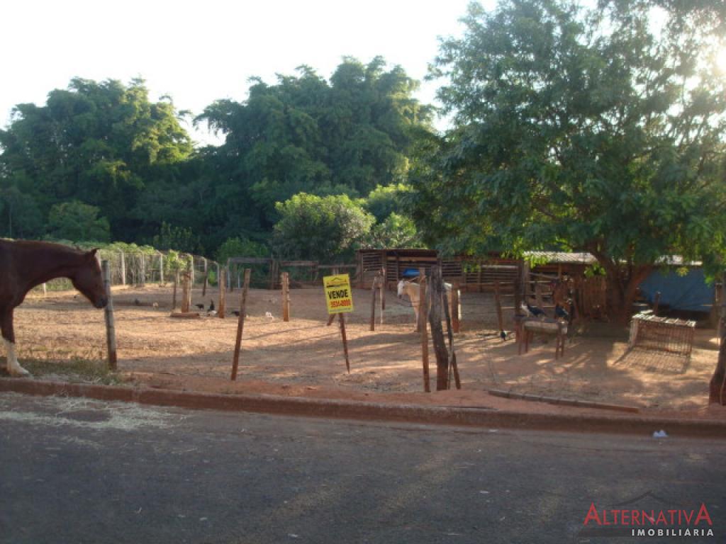 Terreno à venda em Centro, Uchoa - foto 1 de 3