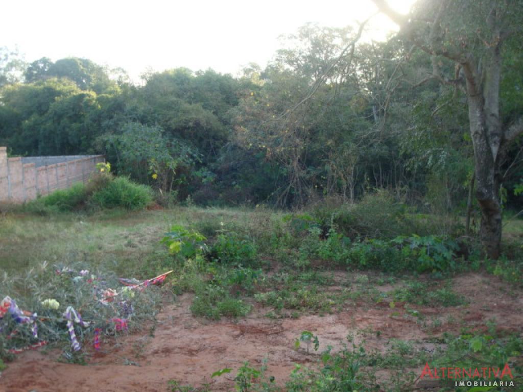 Terreno à venda em Centro, Uchoa - foto 2 de 2