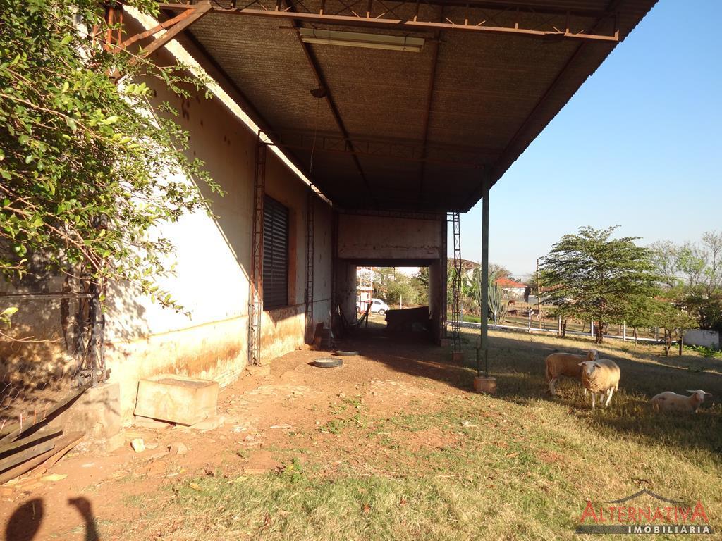 Barracão para alugar em Vila Roberto, Pindorama - foto 2 de 4