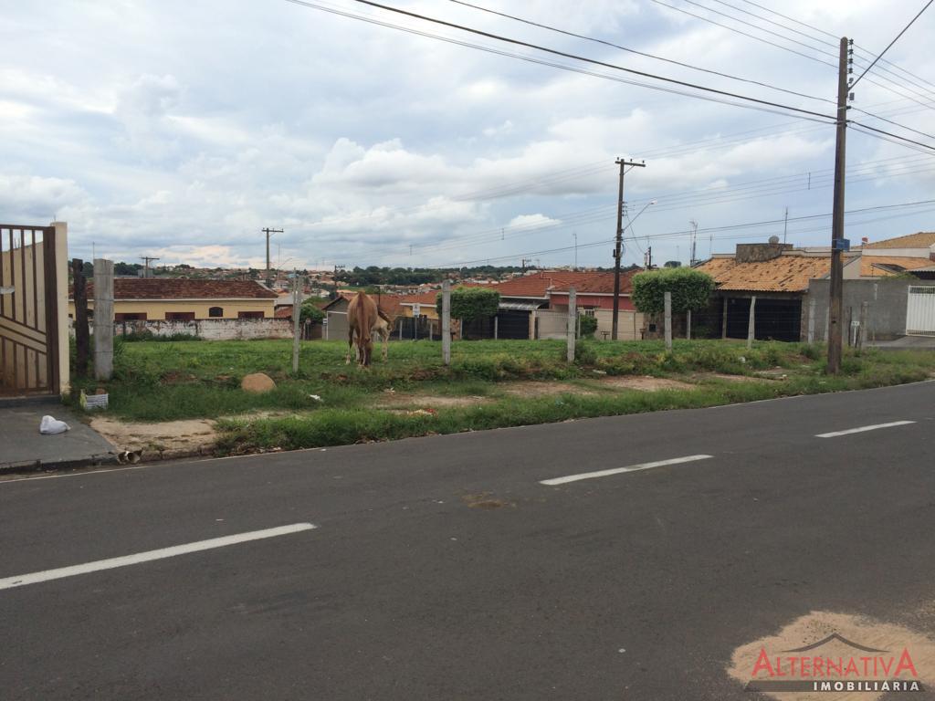 Terreno à venda em Jardim Bela Vista, Catanduva - foto 4 de 5