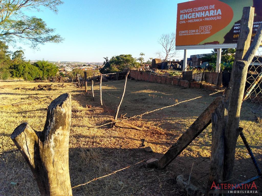 Área à venda em Jardim Caparroz, Catanduva - foto 3 de 6