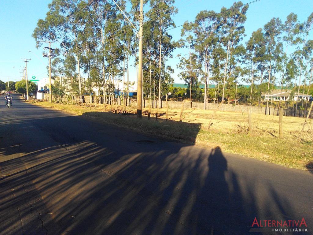 Área à venda em Jardim Caparroz, Catanduva - foto 4 de 6