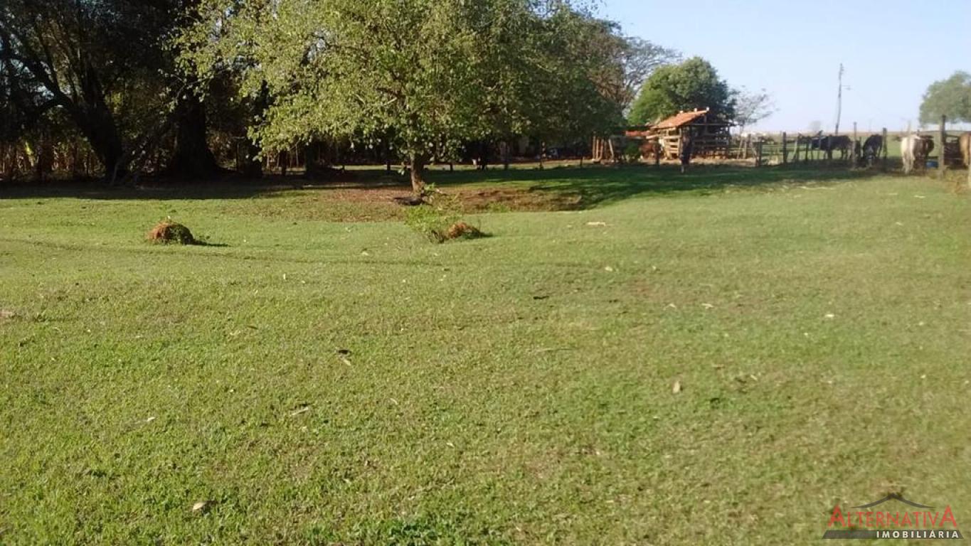 Área à venda em Rural, Catanduva - foto 1 de 4
