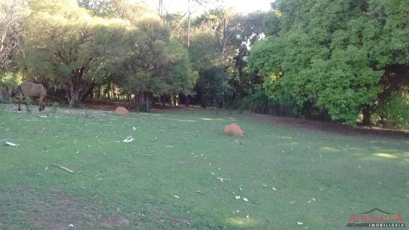 Área à venda em Rural, Catanduva - foto 3 de 4