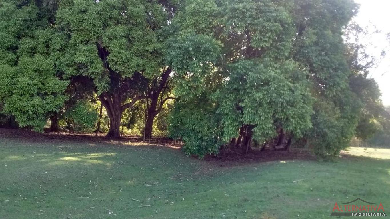 Área à venda em Rural, Catanduva - foto 4 de 4