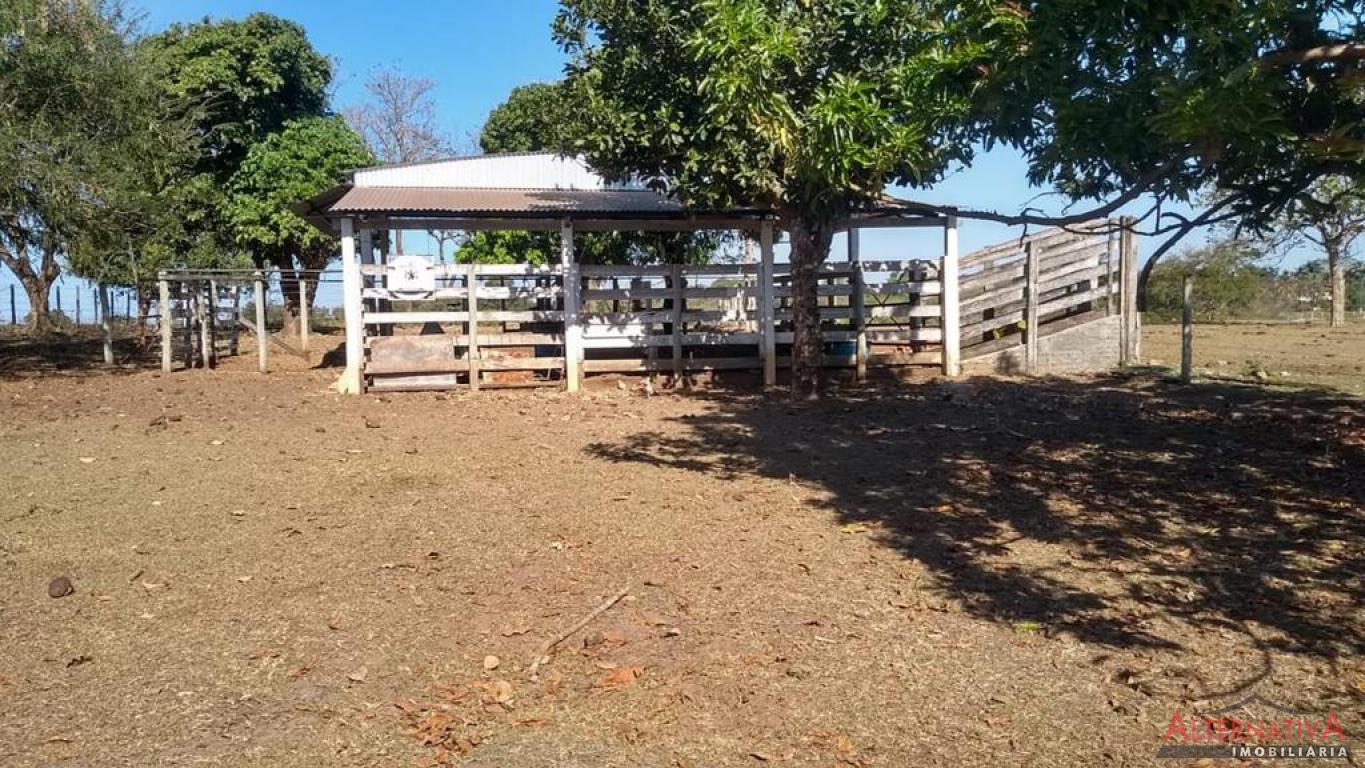 Chácara à venda em Centro, Jurupema - foto 15 de 28