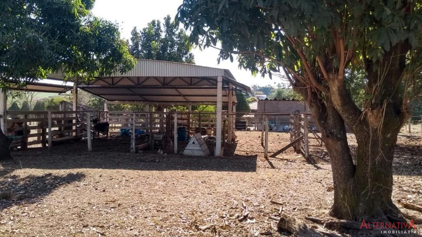 Chácara à venda em Centro, Jurupema - foto 16 de 28
