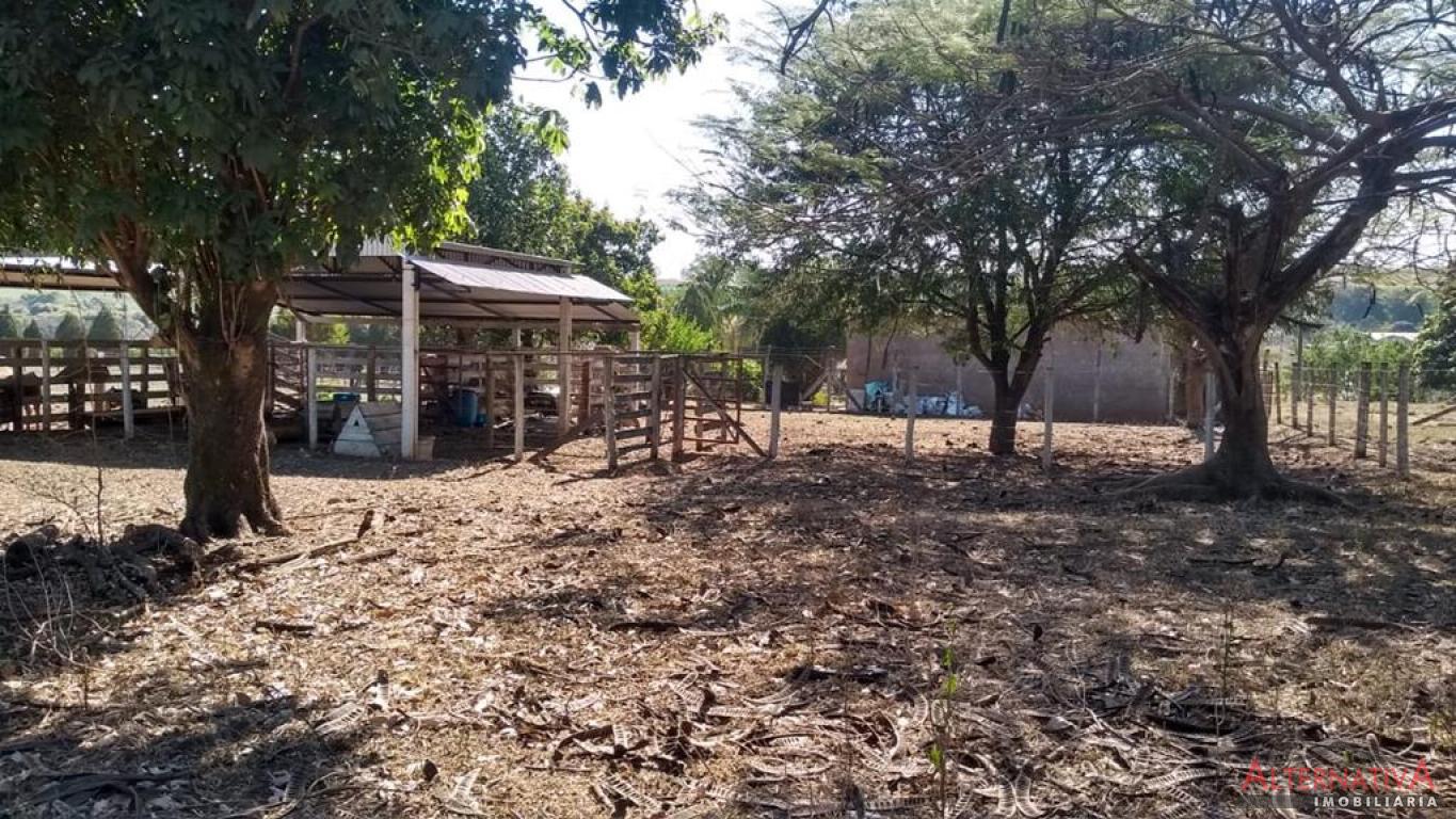 Chácara à venda em Centro, Jurupema - foto 19 de 28