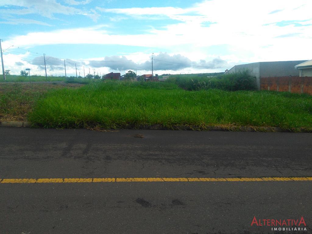 Terreno à venda em Residencial Dos Ipes, Catanduva - foto 2 de 5