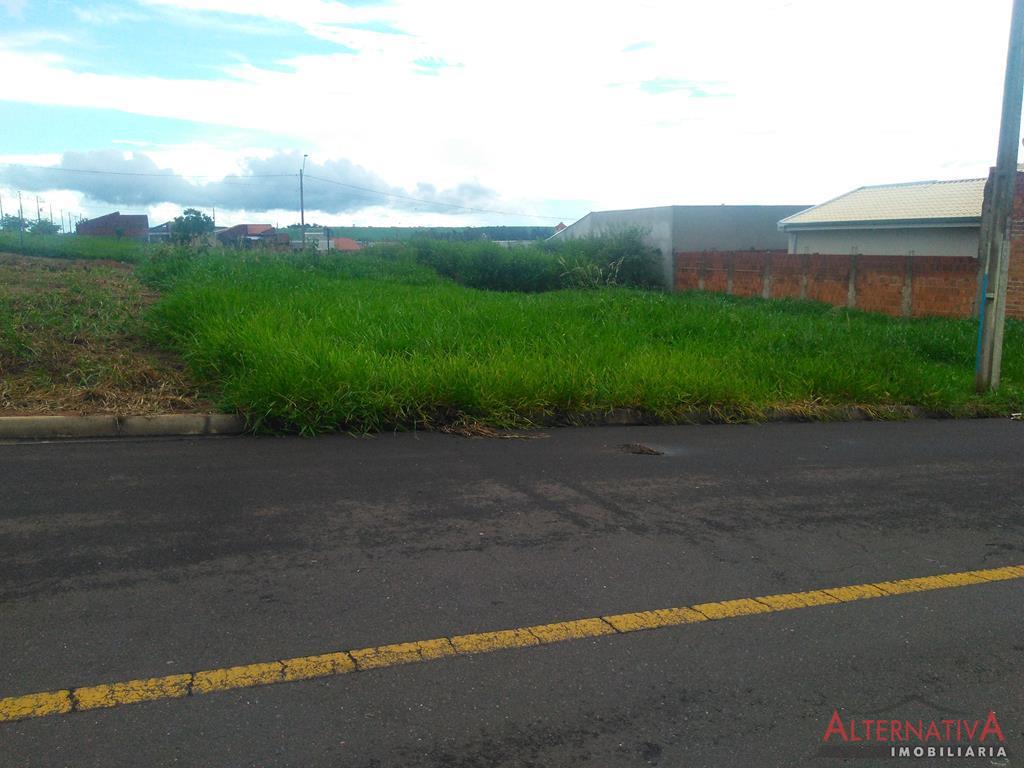 Terreno à venda em Residencial Dos Ipes, Catanduva - foto 3 de 5