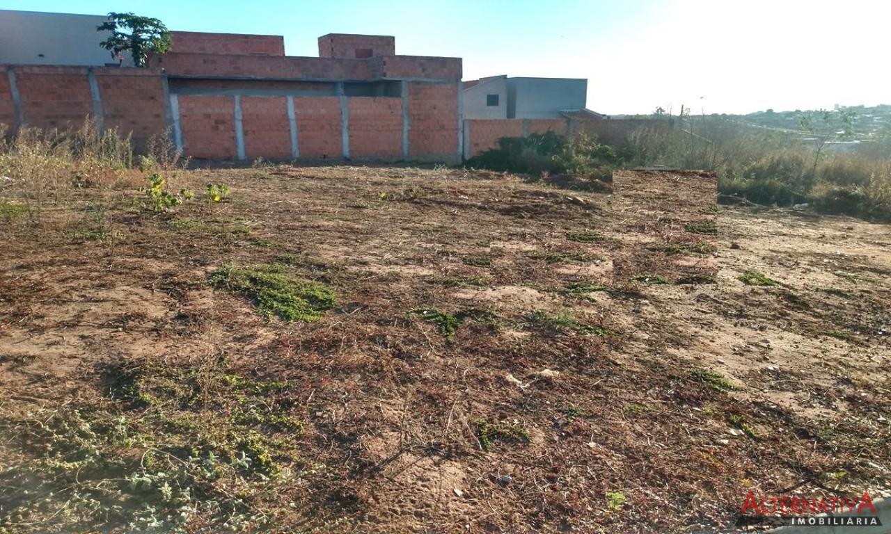 Terreno à venda em Residencial Dos Ipes, Catanduva - foto 3 de 4