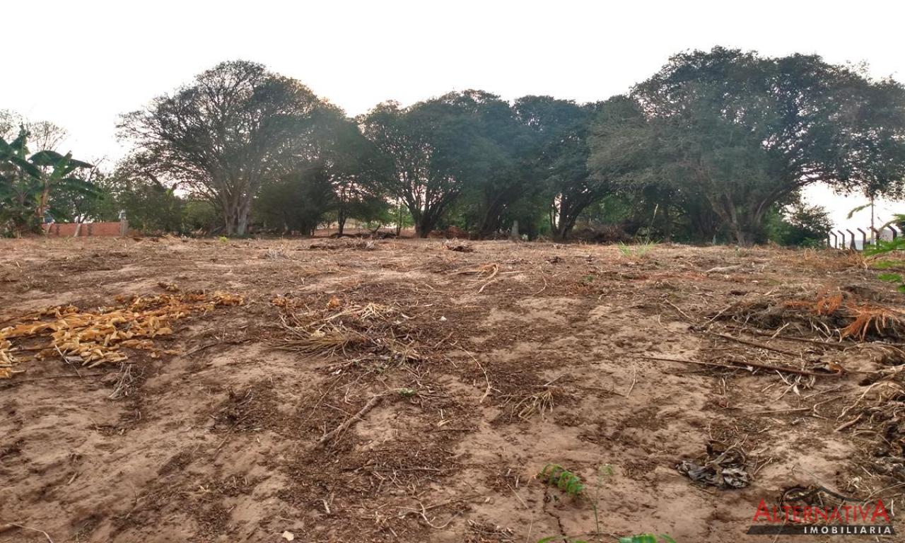 Terreno à venda em Centro, Pindorama - foto 6 de 8
