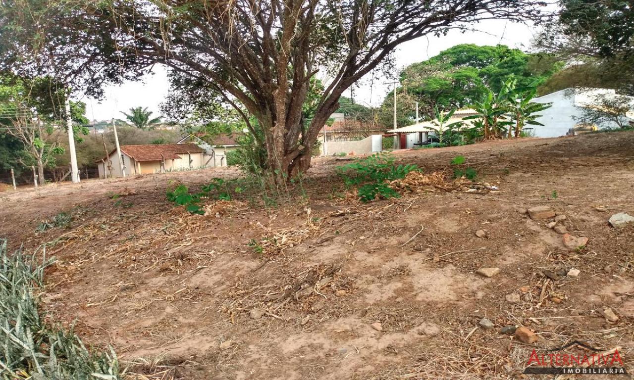 Terreno à venda em Centro, Pindorama - foto 7 de 8
