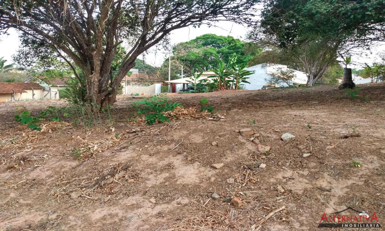 Terreno à venda em Centro, Pindorama - foto 8 de 8