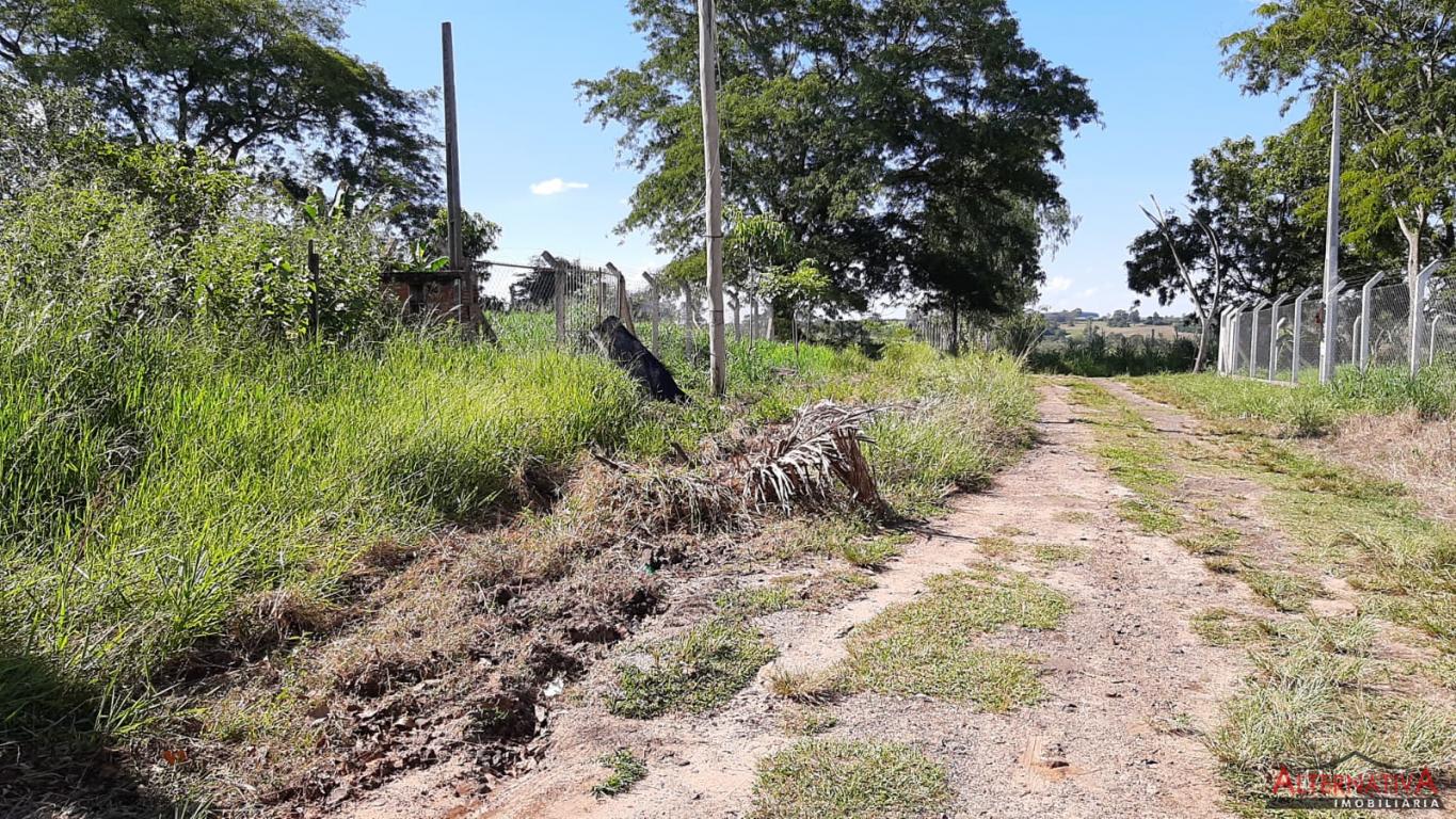 Terreno à venda em Termas De Ibira, Ibira - foto 1 de 9