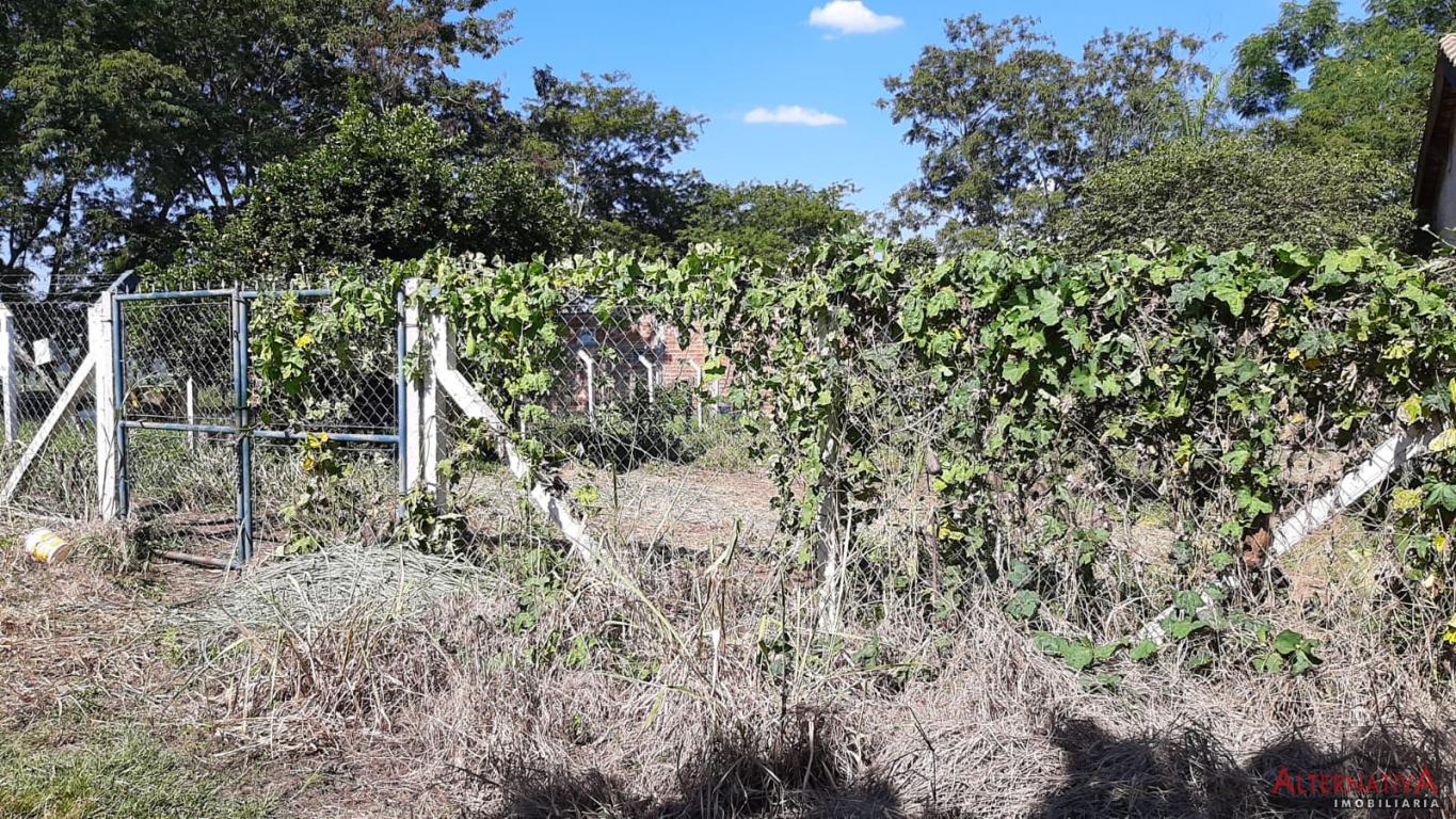 Terreno à venda em Termas De Ibira, Ibira - foto 2 de 9