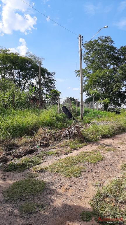 Terreno à venda em Termas De Ibira, Ibira - foto 5 de 9