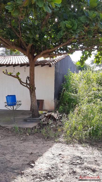 Terreno à venda em Termas De Ibira, Ibira - foto 7 de 9