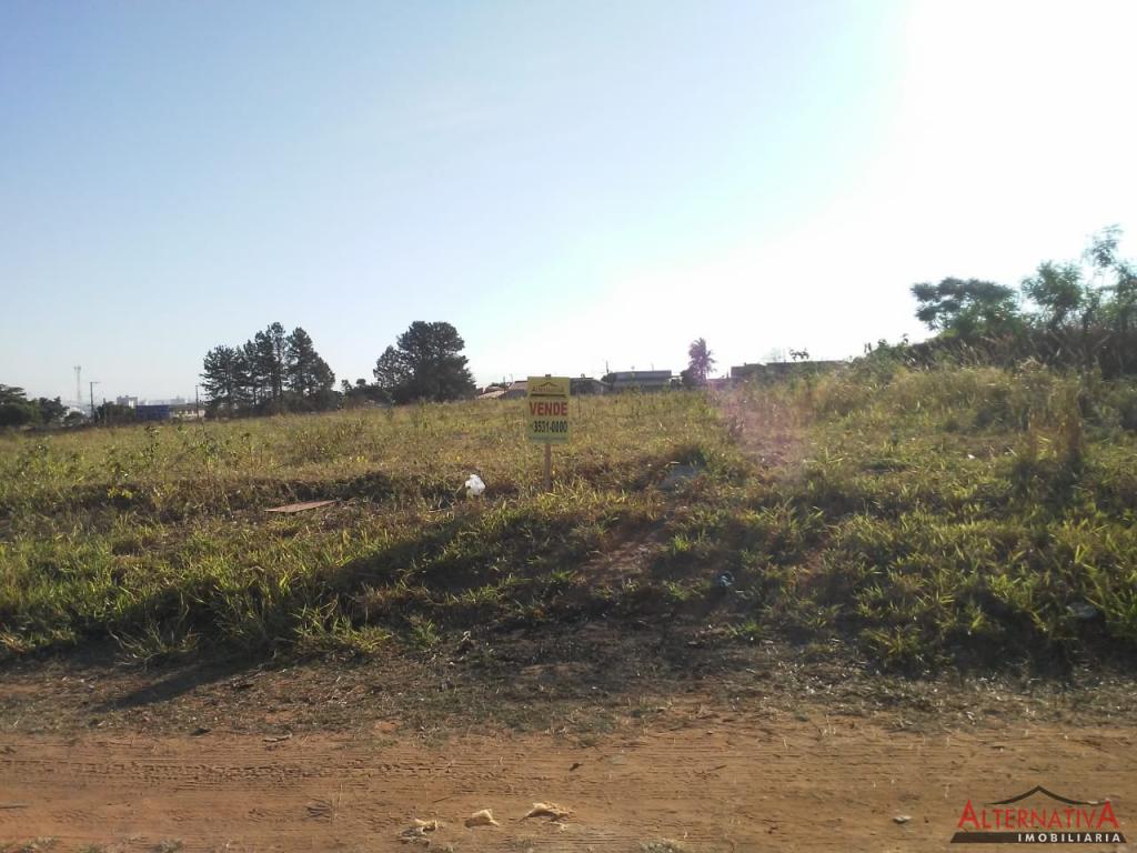 Terreno à venda em Jardim Primavera, Catanduva - foto 7 de 7