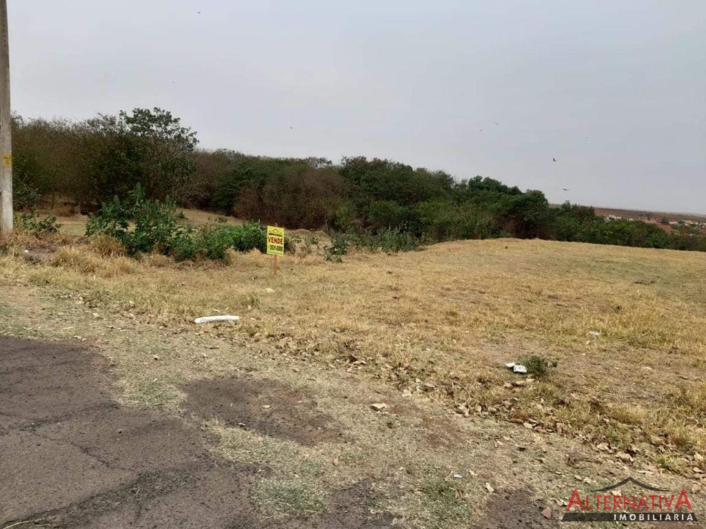 Terreno à venda em Parque Gloria V, Catanduva - foto 1 de 1