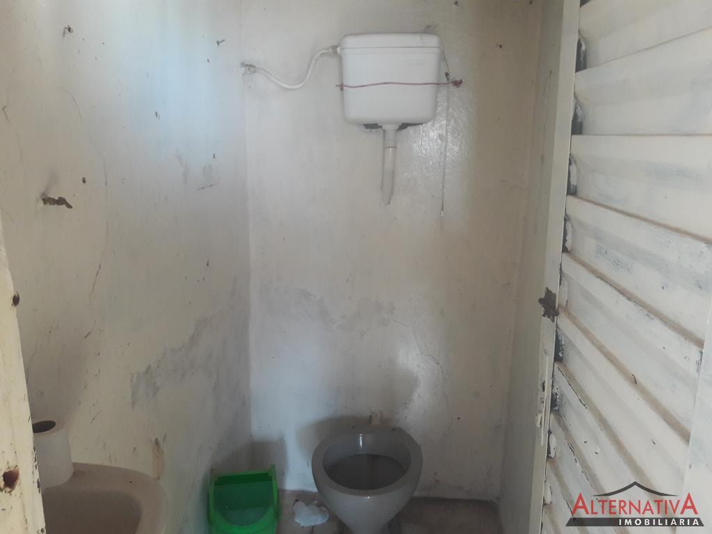 Casa para alugar em Vila Roberto, Pindorama - foto 9 de 11