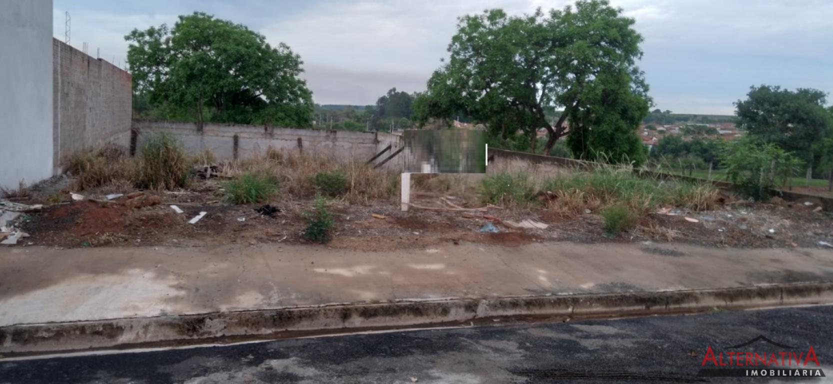 Terreno à venda em Centro, Pindorama - foto 1 de 1