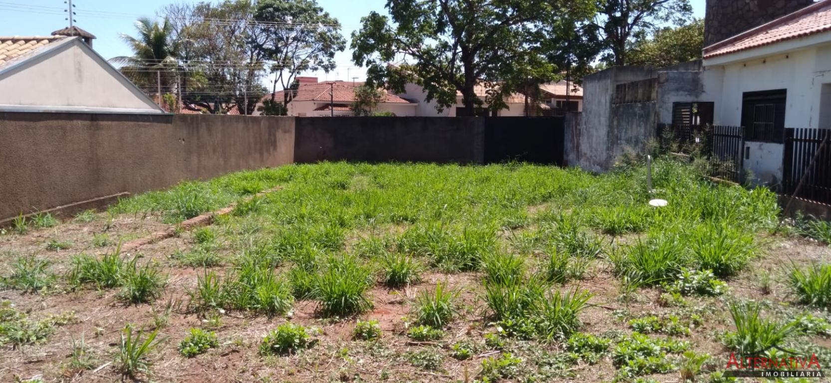 Terreno à venda em Parque Residencial Agudo Romao, Catanduva - foto 5 de 5