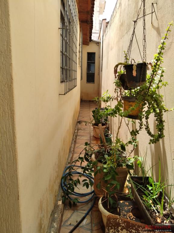 Casa à venda em Sao Francisco, Catanduva - foto 32 de 32