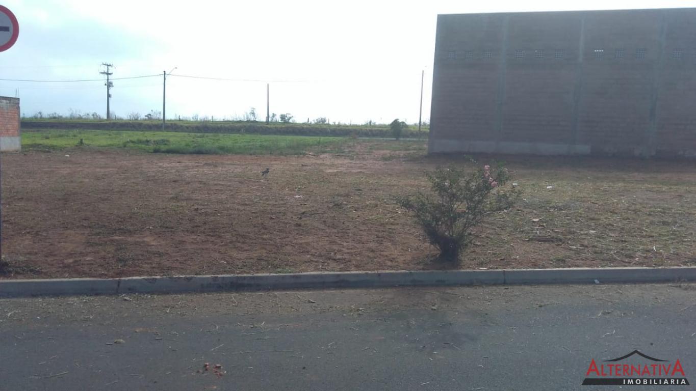 Terreno à venda em Alto Da Boa Vista, Catanduva - foto 2 de 3