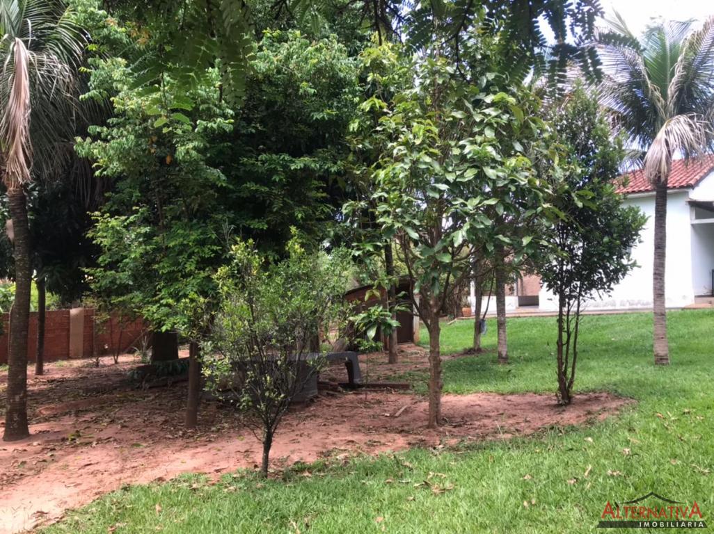 Terreno à venda em Jardim Das Palmeiras, Pindorama - foto 4 de 18
