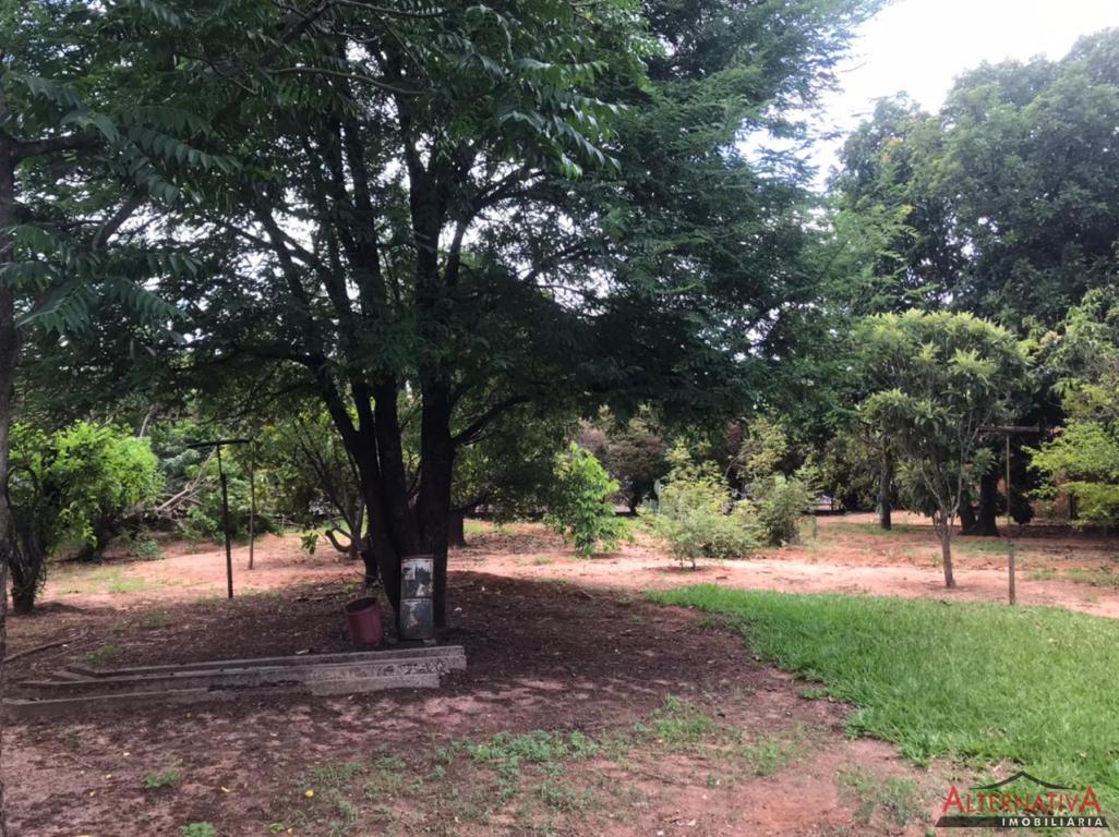 Terreno à venda em Jardim Das Palmeiras, Pindorama - foto 5 de 18