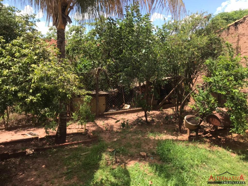 Terreno à venda em Jardim Das Palmeiras, Pindorama - foto 6 de 18
