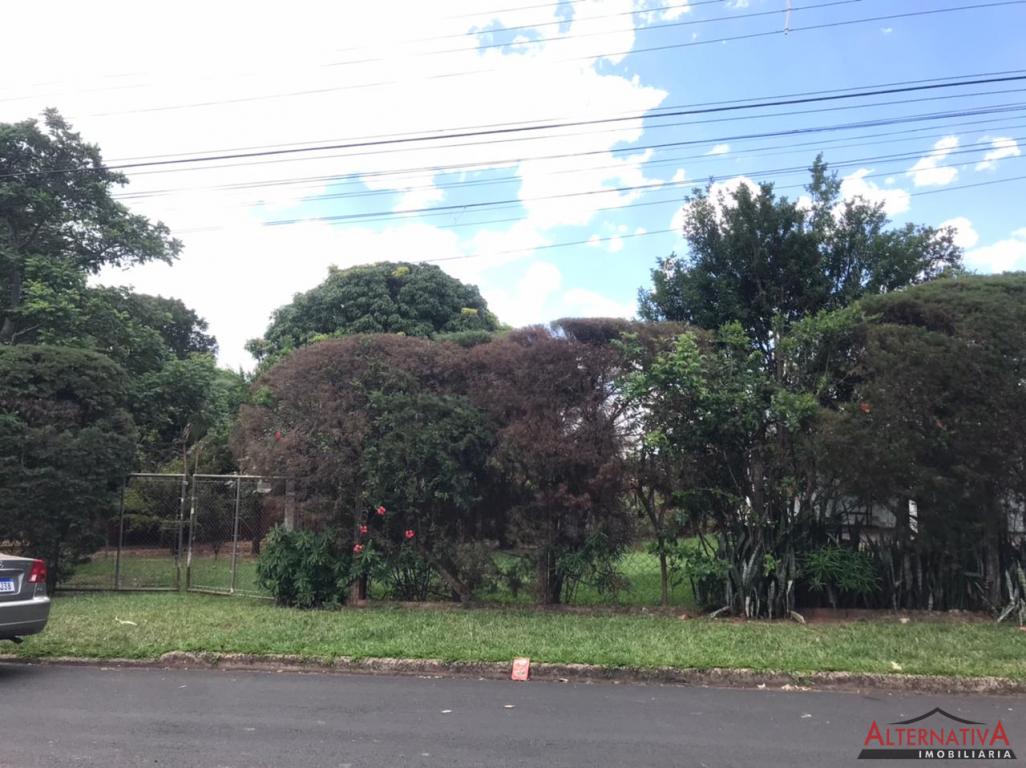 Terreno à venda em Jardim Das Palmeiras, Pindorama - foto 2 de 18