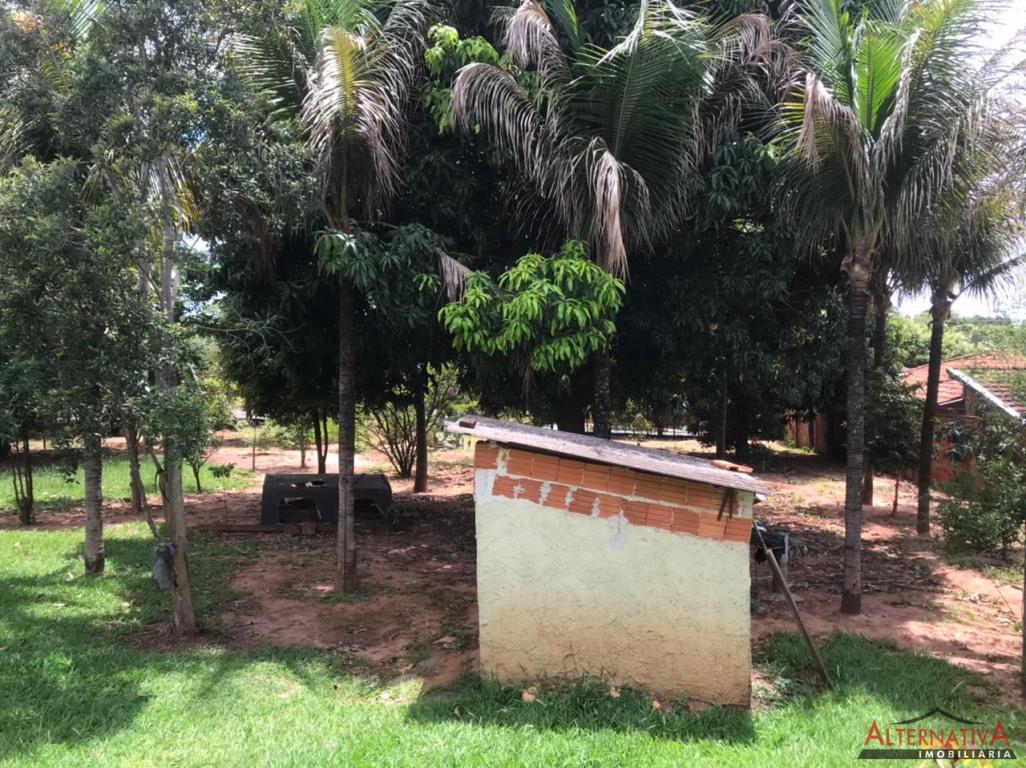 Terreno à venda em Jardim Das Palmeiras, Pindorama - foto 7 de 18