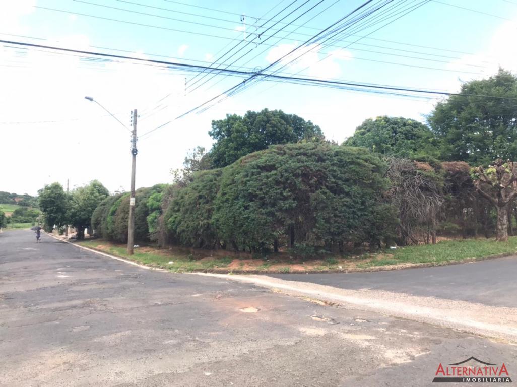 Terreno à venda em Jardim Das Palmeiras, Pindorama - foto 1 de 18