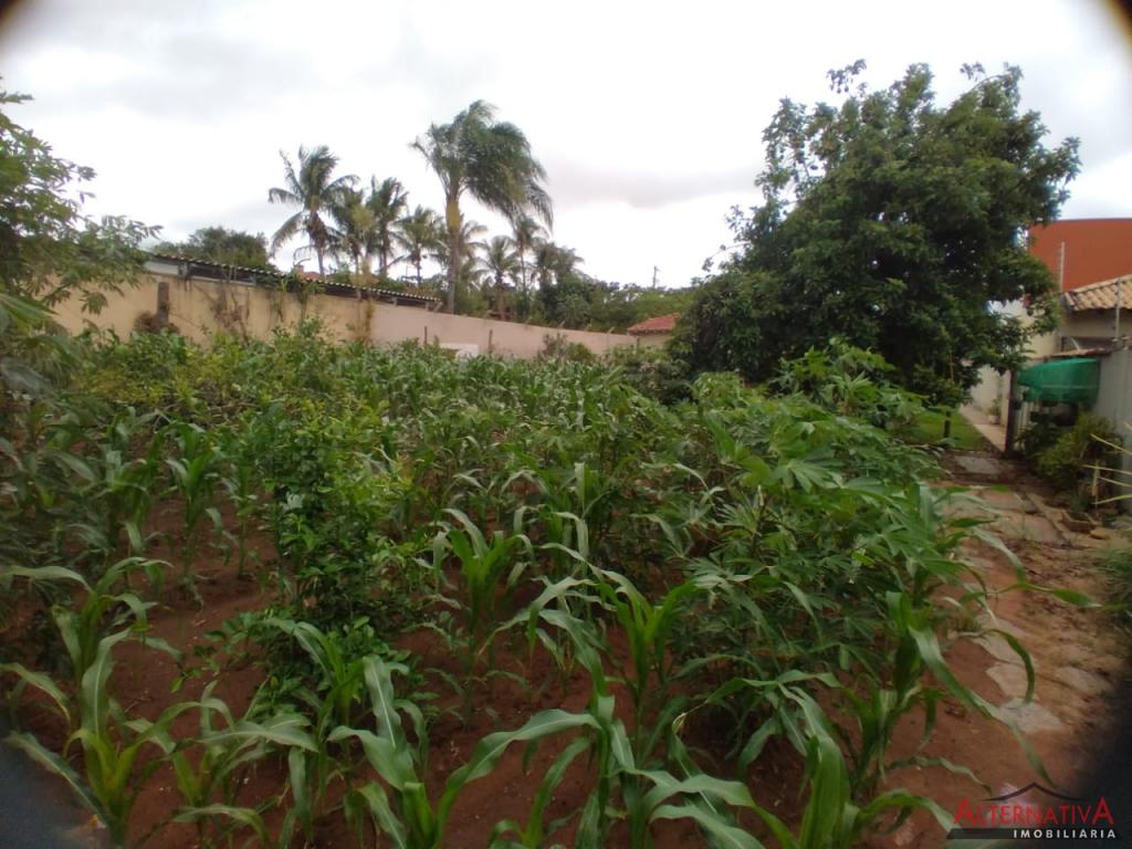 Chácara à venda em Jardim Alvorada, Catanduva - foto 8 de 24