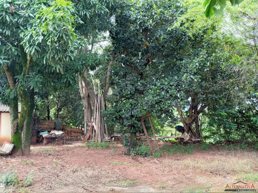 Chácara à venda em Rural, Catanduva - foto 10 de 14