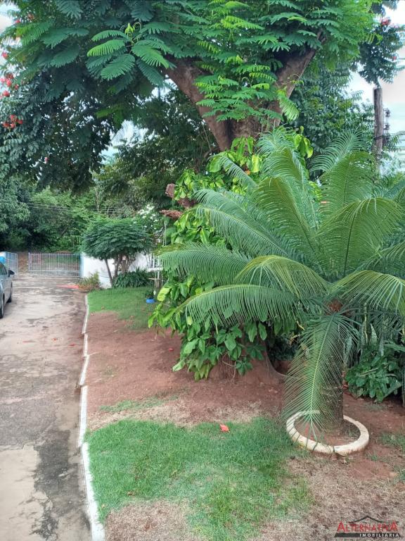 Chácara à venda em Rural, Catanduva - foto 9 de 14