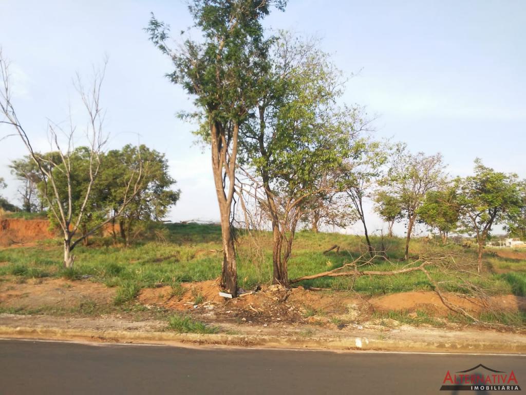 Terreno à venda em Jardim Caparroz, Catanduva - foto 2 de 2