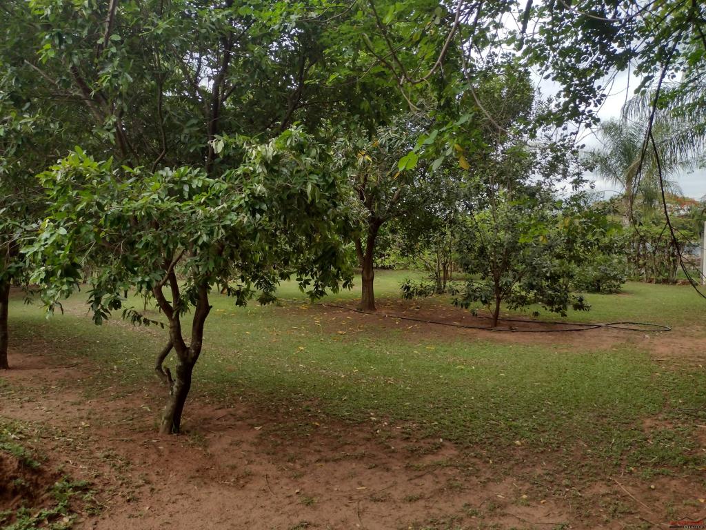 Chácara à venda em Jardim Oriental, Catanduva - foto 5 de 6