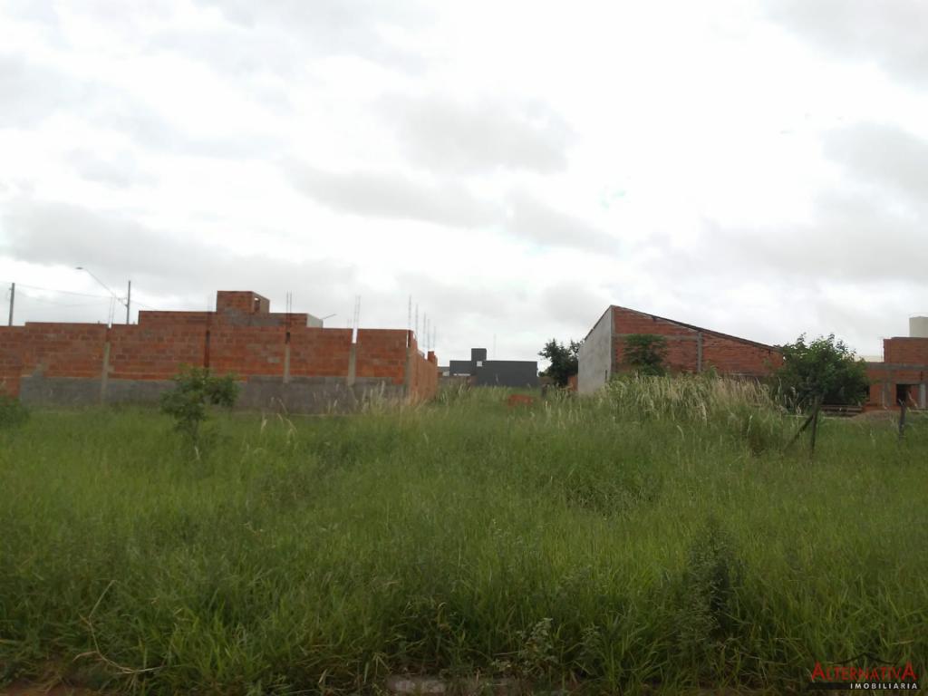 Terreno à venda em Alexandrina Pereira, Catanduva - foto 2 de 2
