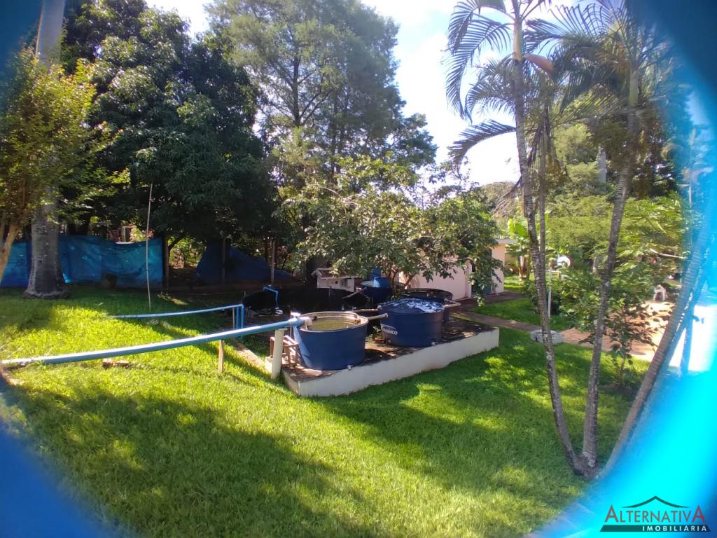 Chácara à venda em Jardim Oriental, Catanduva - foto 11 de 43
