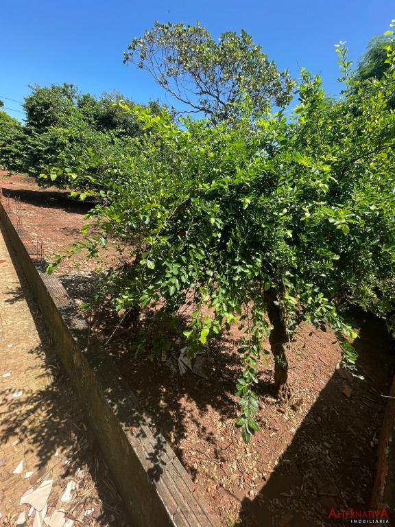 Terreno à venda em Parque Residencial Agudo Romao, Catanduva - foto 4 de 5
