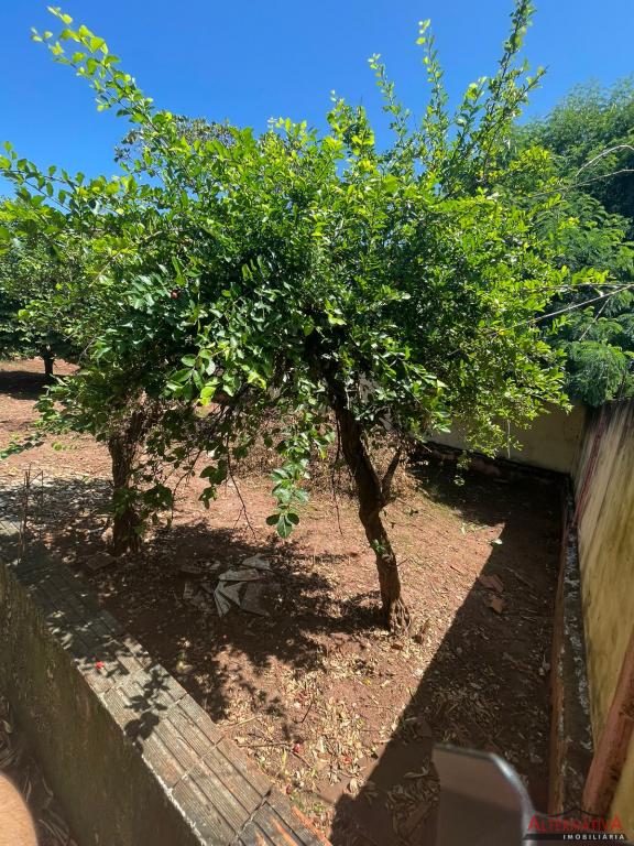Terreno à venda em Parque Residencial Agudo Romao, Catanduva - foto 5 de 5