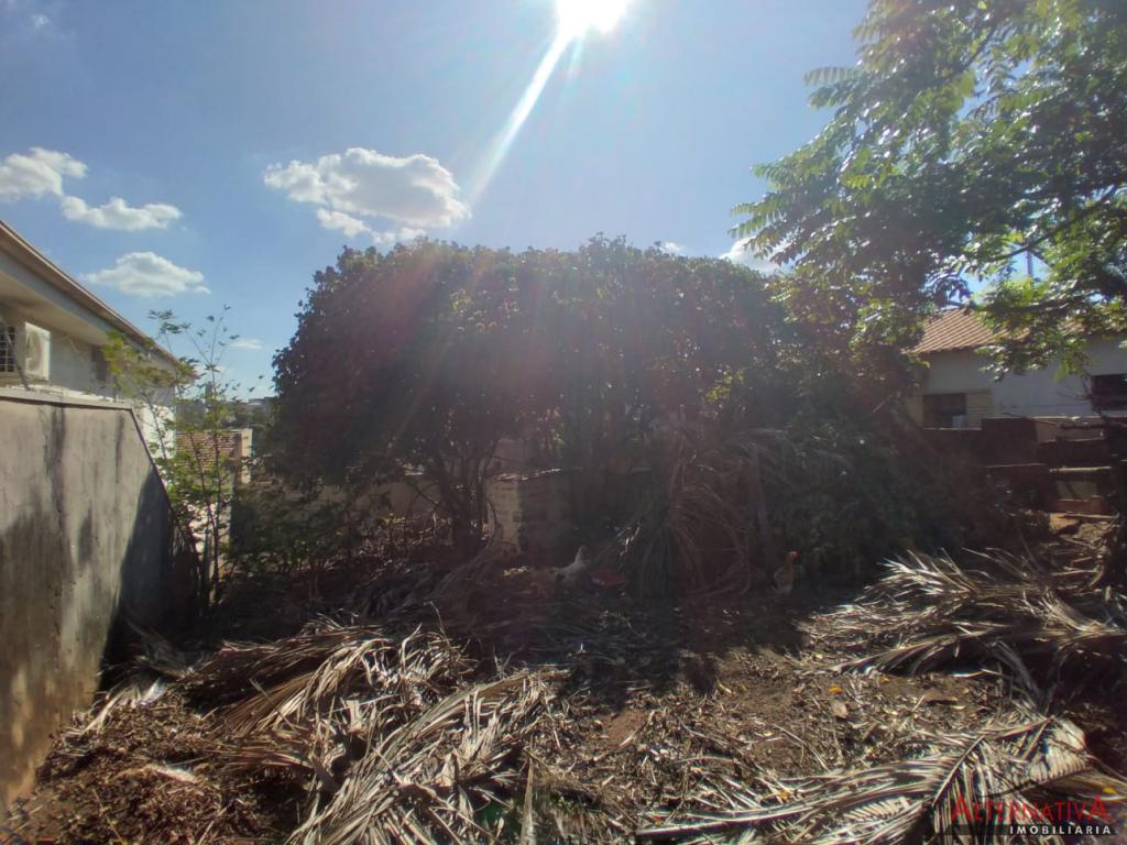 Terreno à venda em Jardim Salles, Catanduva - foto 3 de 3