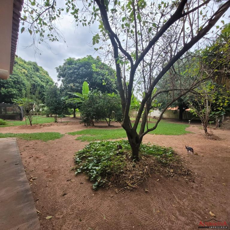 Chácara à venda em Jardim Dos Coqueiros, Catanduva - foto 10 de 24