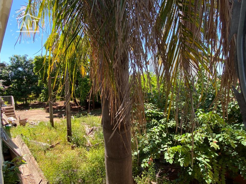 Terreno à venda em Higienopolis, Catanduva - foto 3 de 3