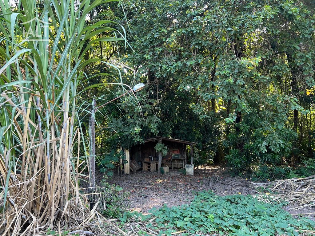 Chácara à venda em Jardim Dos Coqueiros Ii, Catanduva - foto 22 de 28